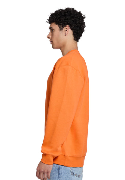 Carrot