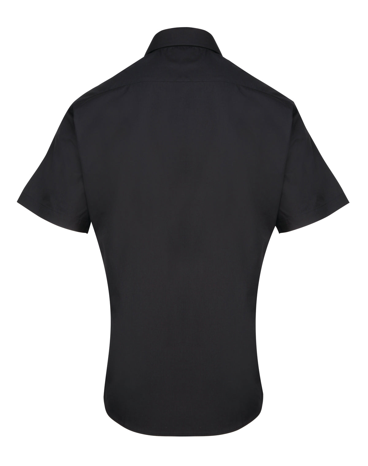 black back
