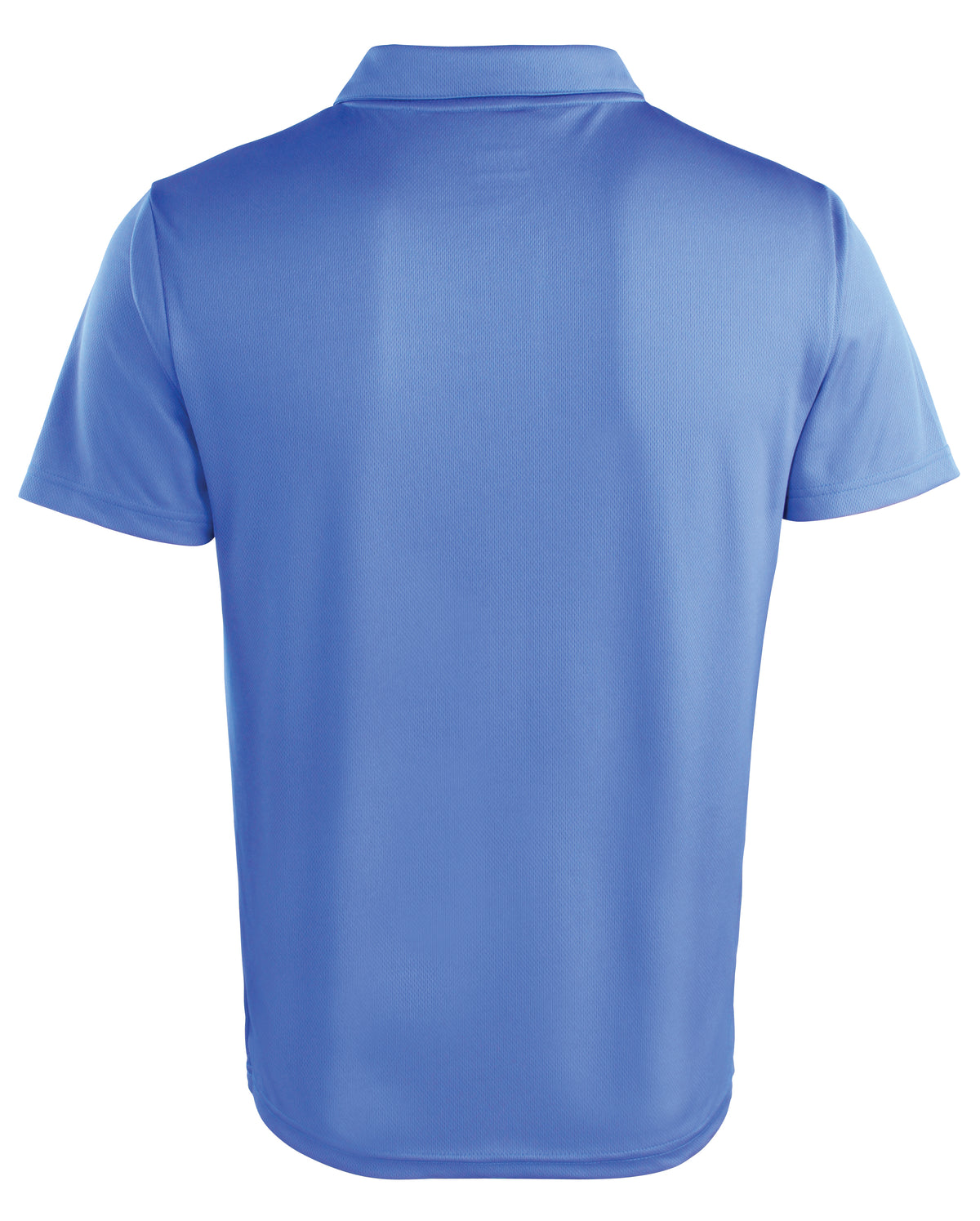 ROYAL  BACK