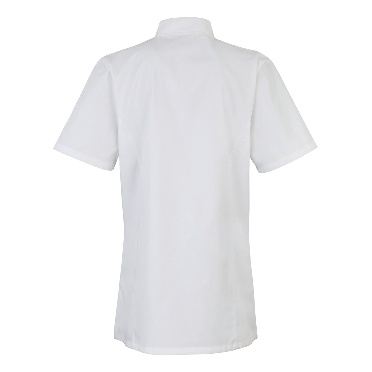 BACK_White