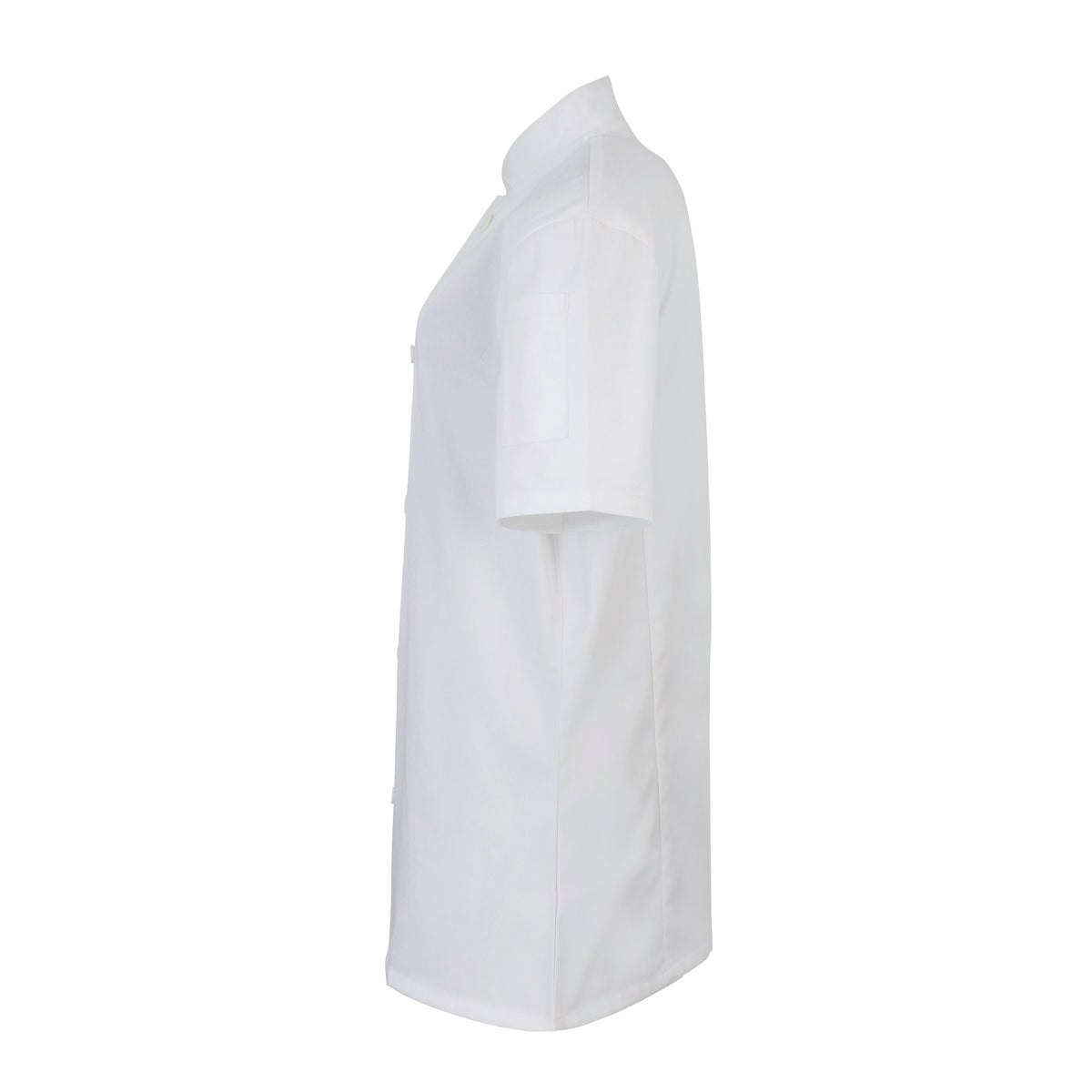 SIDE_White