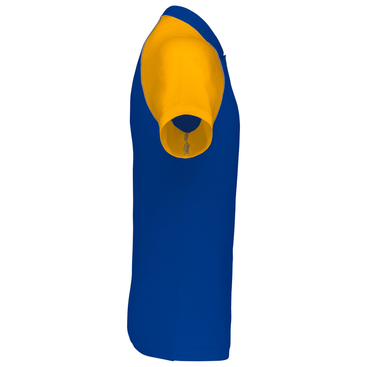 ROYALBLUE-YELLOW