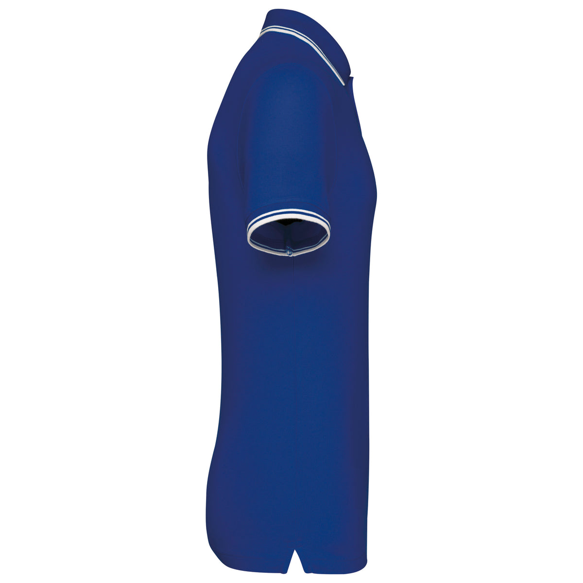 ROYALBLUE-WHITE