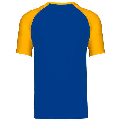 ROYALBLUE-YELLOW