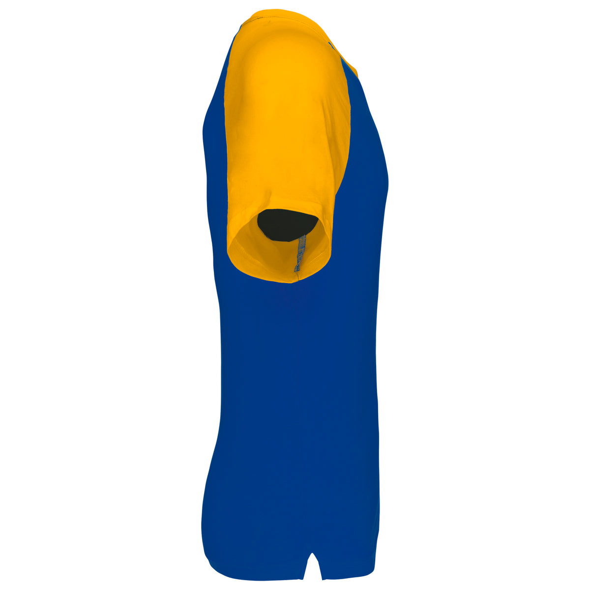 ROYALBLUE-YELLOW