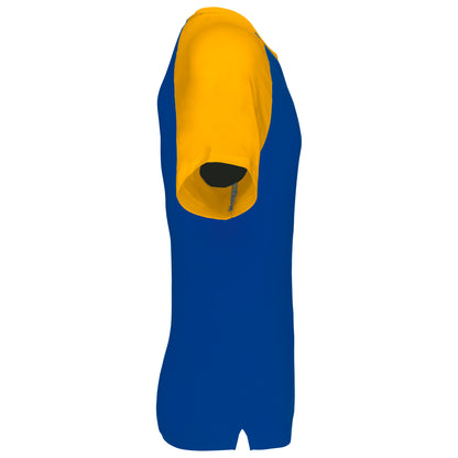 ROYALBLUE-YELLOW