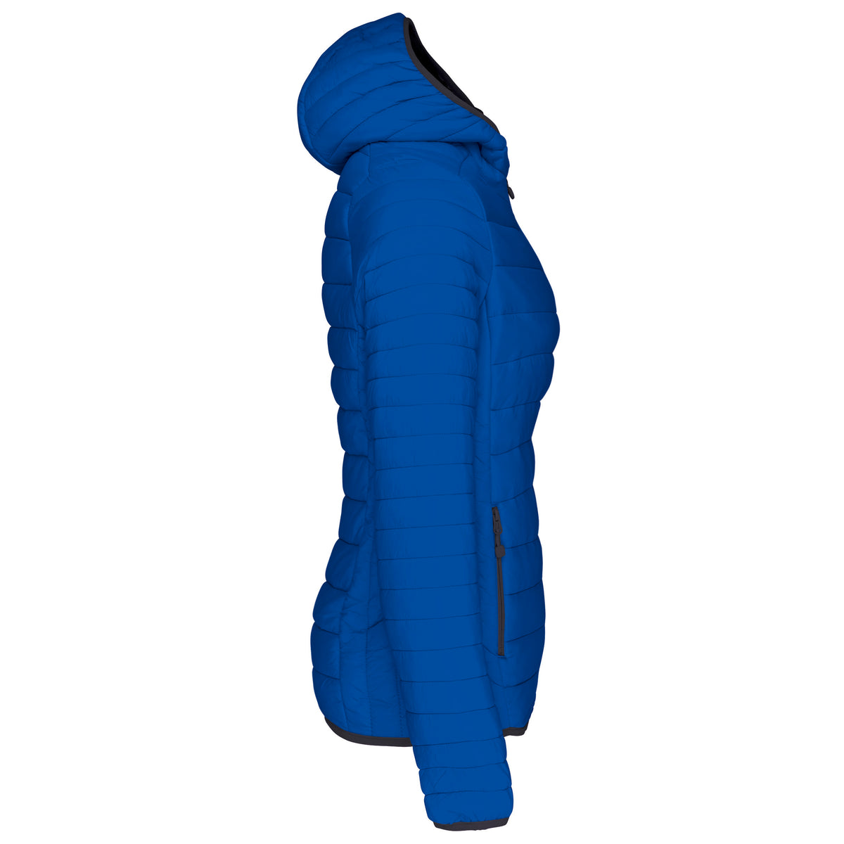 LIGHTROYALBLUE