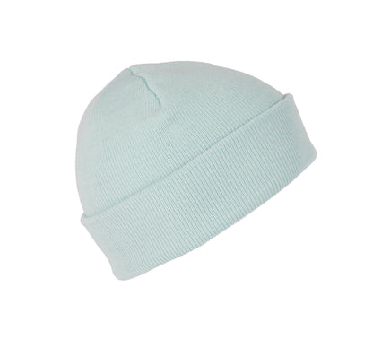 ICEMINT