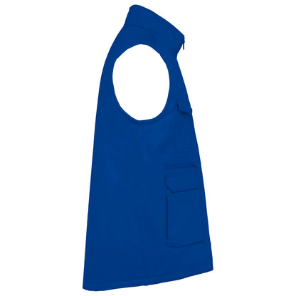 ROYALBLUE