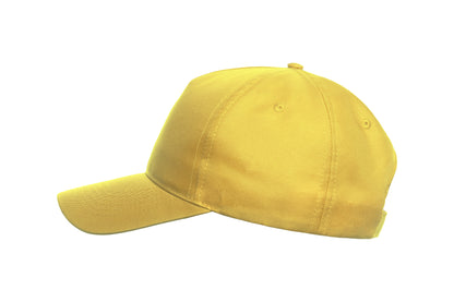 GI